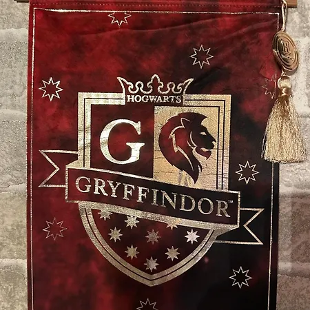 Harry Potter L'experience, Nuit Magique A Poudlard * Sedan